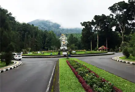 �o���A����