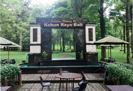 �o���A����