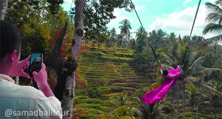 �e�K�������Ńu�����R�B