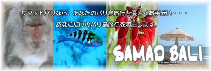 �킪�܂܃o�����J�[�`���[�^�[